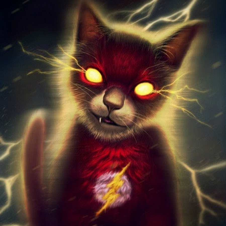 Flash Cat YouTube