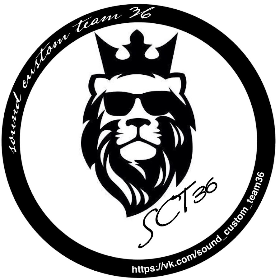 Team custom sound. Customs team. Customs team. Team custom sound картинки обложки. Customs team.