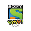 What could Sony YAY! Telugu buy with $1.2 million?