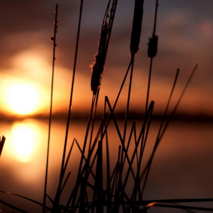 Бабайка песня мясникова. Final way. Лео из a way out. The way to final. Аукцени арт инвест.