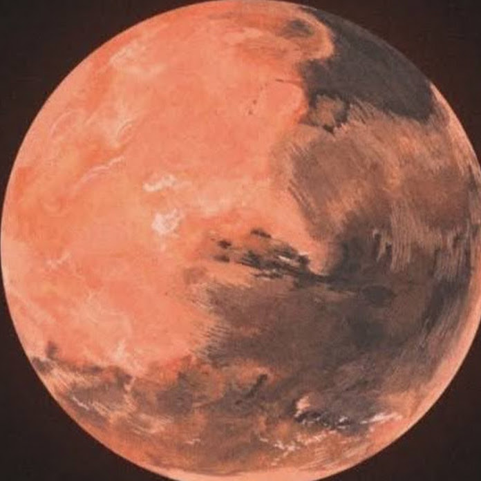 RENESANS Net Worth & Earnings (2026)