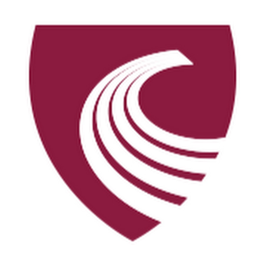 Chartered Accountants Ireland YouTube