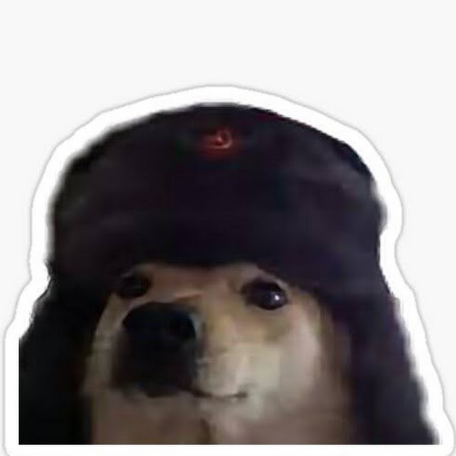 Собака в ушанке ссср. Кот в шапке ушанке. Собака в ушанке ссср. Советские аватарки для вк. Собака коммунист.