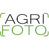 What could Agrifoto buy with $262.08 thousand?