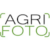 What could Agrifoto buy with $262.1 thousand?