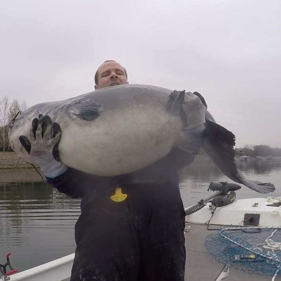 Chatt Cats Fishing YouTube