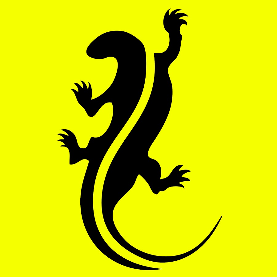 Саламандра тату эскизы. Саламандер белый ящерица. Тату ящерица. Ящерица эскиз