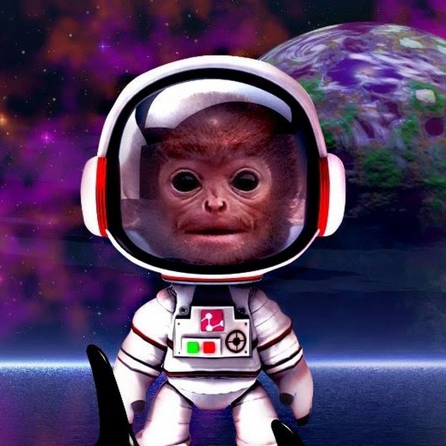 Space monkey. Обезьянки в космосе. Обезьяна в скафандре. Обезьяна космонавт.