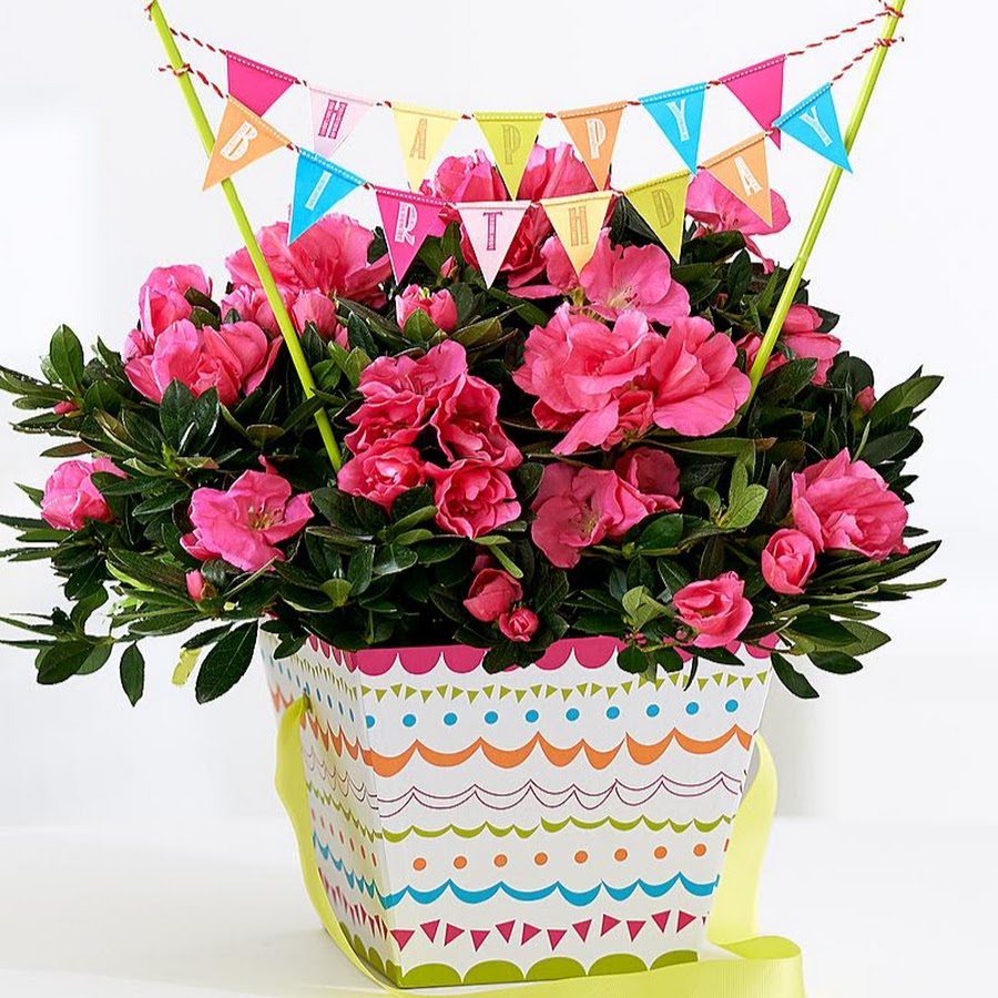 День рождения по цветам. С днем рождения открытка стильная. Лучшие цветы для именинницы. День рождения по цветам. Открытки happy birthday flowers.