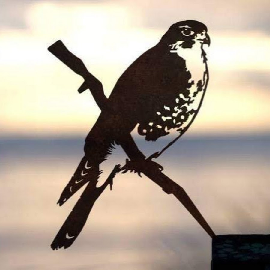 Metalbird USA - YouTube