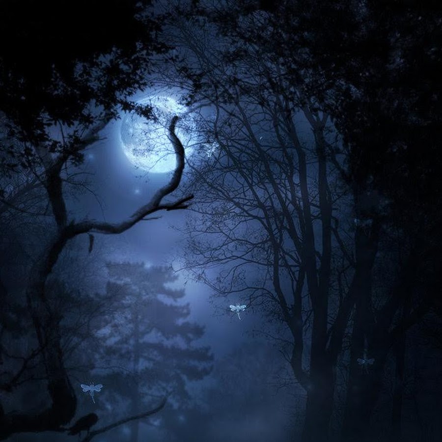 блуждающие огни на кладбище. ночной лес. ночной лес. темный пейзаж. сказочный мрачный лес.