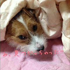 夢月桜CH