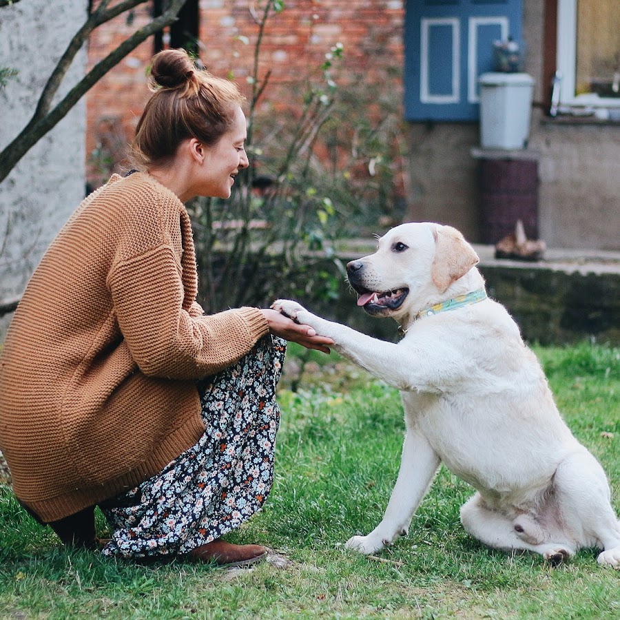 Ikarusdoodle Haus Garten Hunde Youtube
