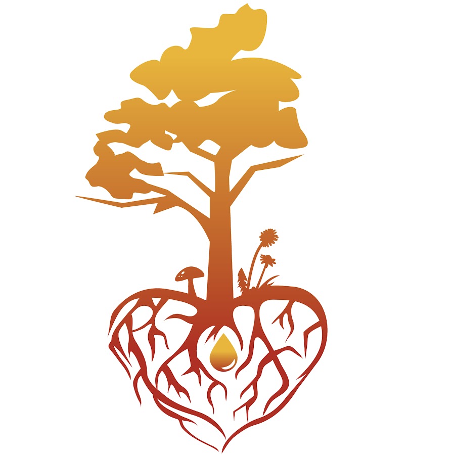 The Root Feeder Youtube