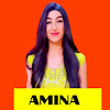 What could أمينه AMINA buy with $551.3 thousand?