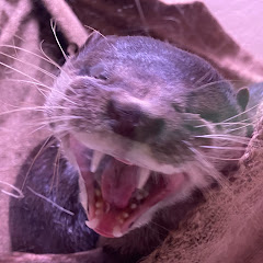 山本大介公式