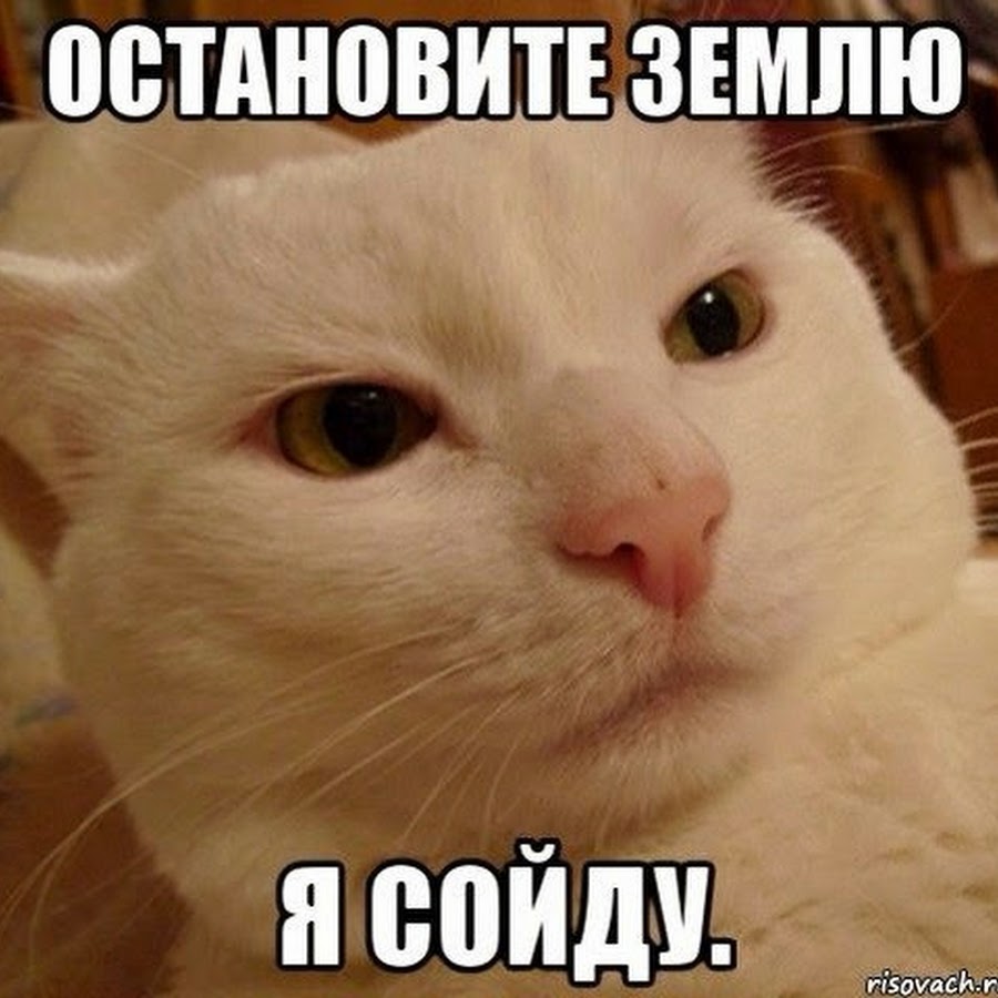 не царское дело