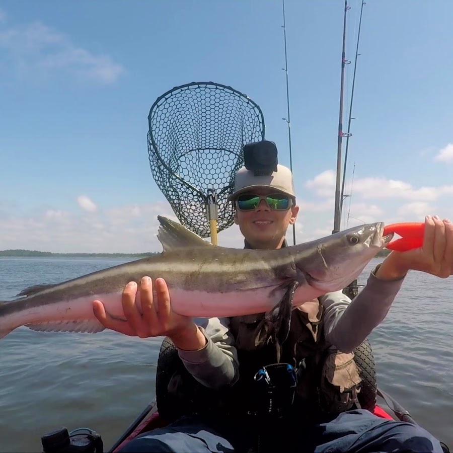 Beaufort SC Fishing YouTube