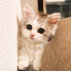 ポン太のおうち