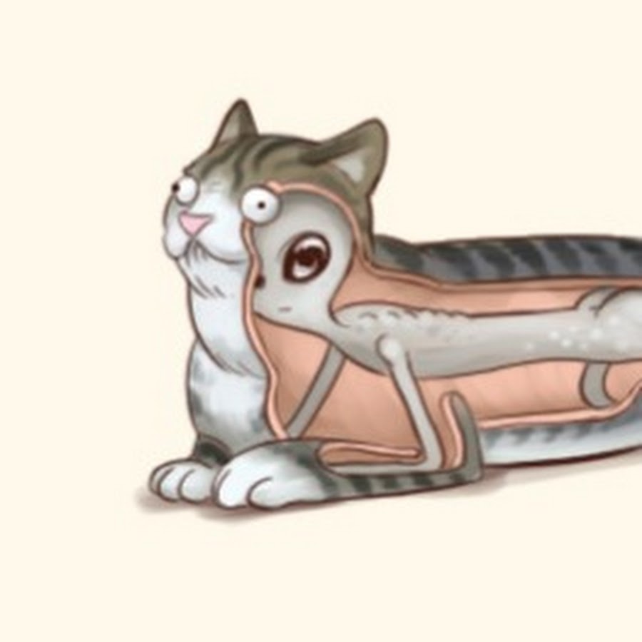 Комикс синие инопланетяне. Кот пришелец мем. Кот пришелец мем. Котенок в космосе. Коты инопланетяне.