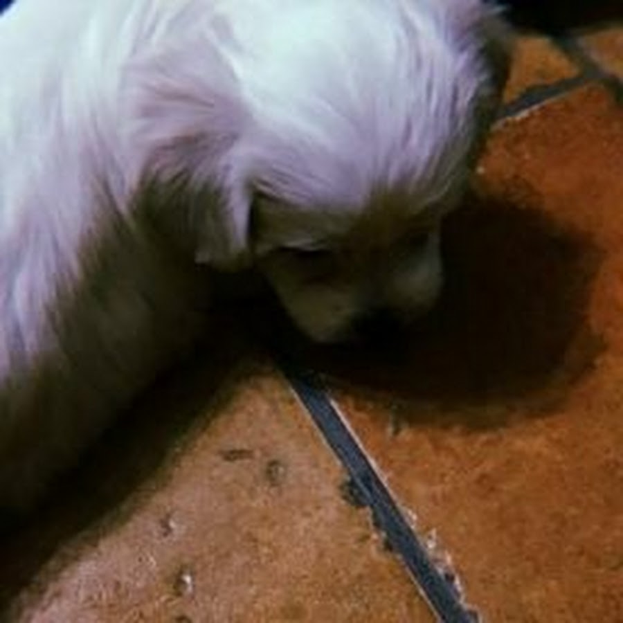 Nancy Jackson - YouTube