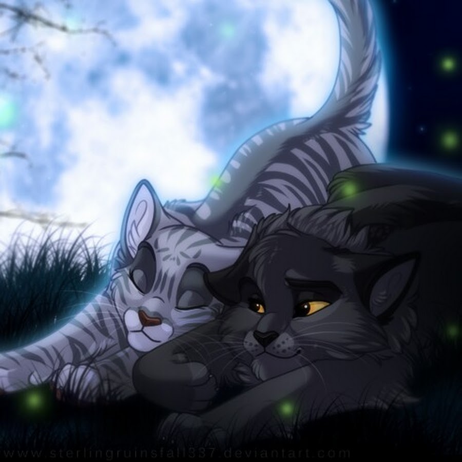 Картинки серебрянки из котов воителей