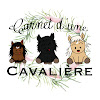 What could Carnet d'une Cavalière buy with $104.06 thousand?