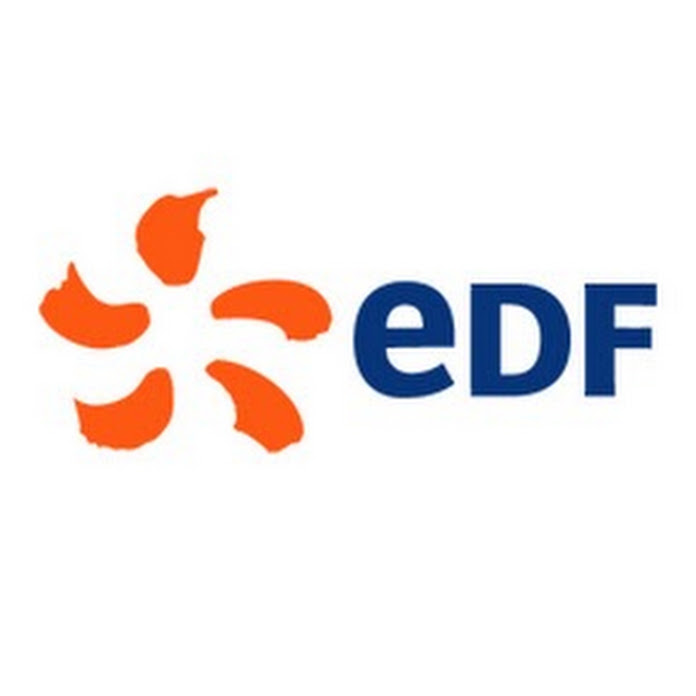 EDF Net Worth & Earnings (2024)