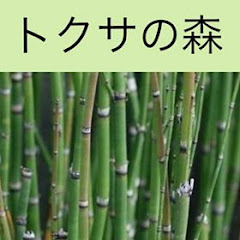 新・トクサの森
