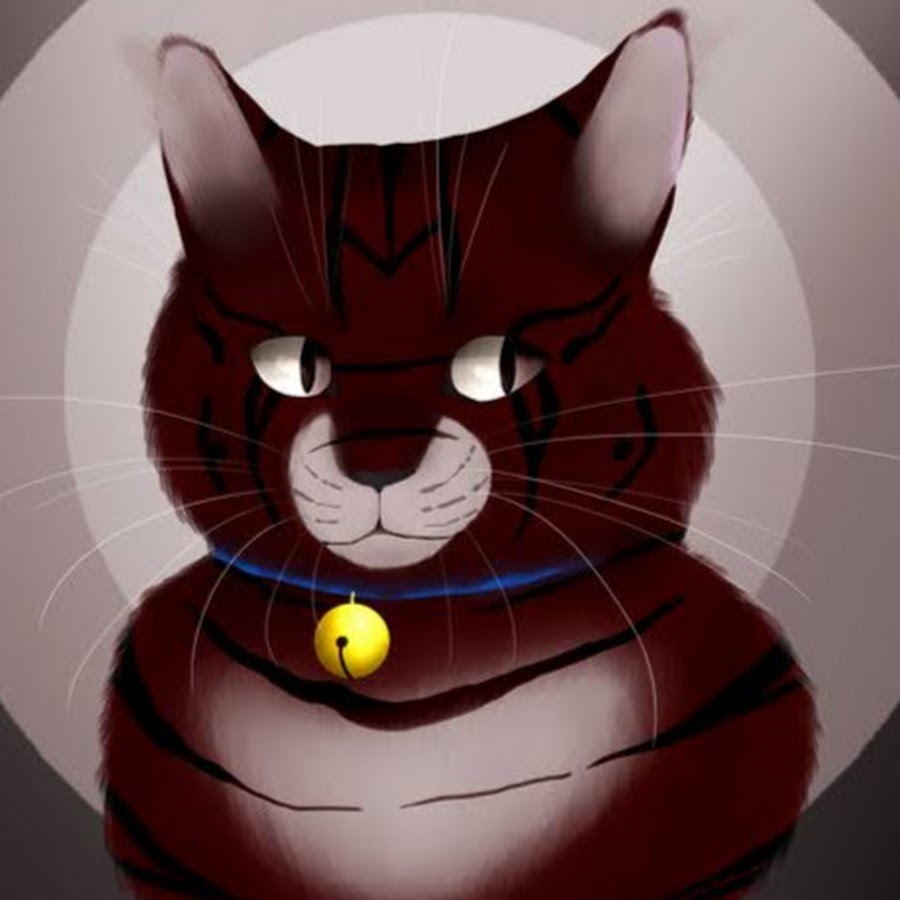 Cat from Fair 