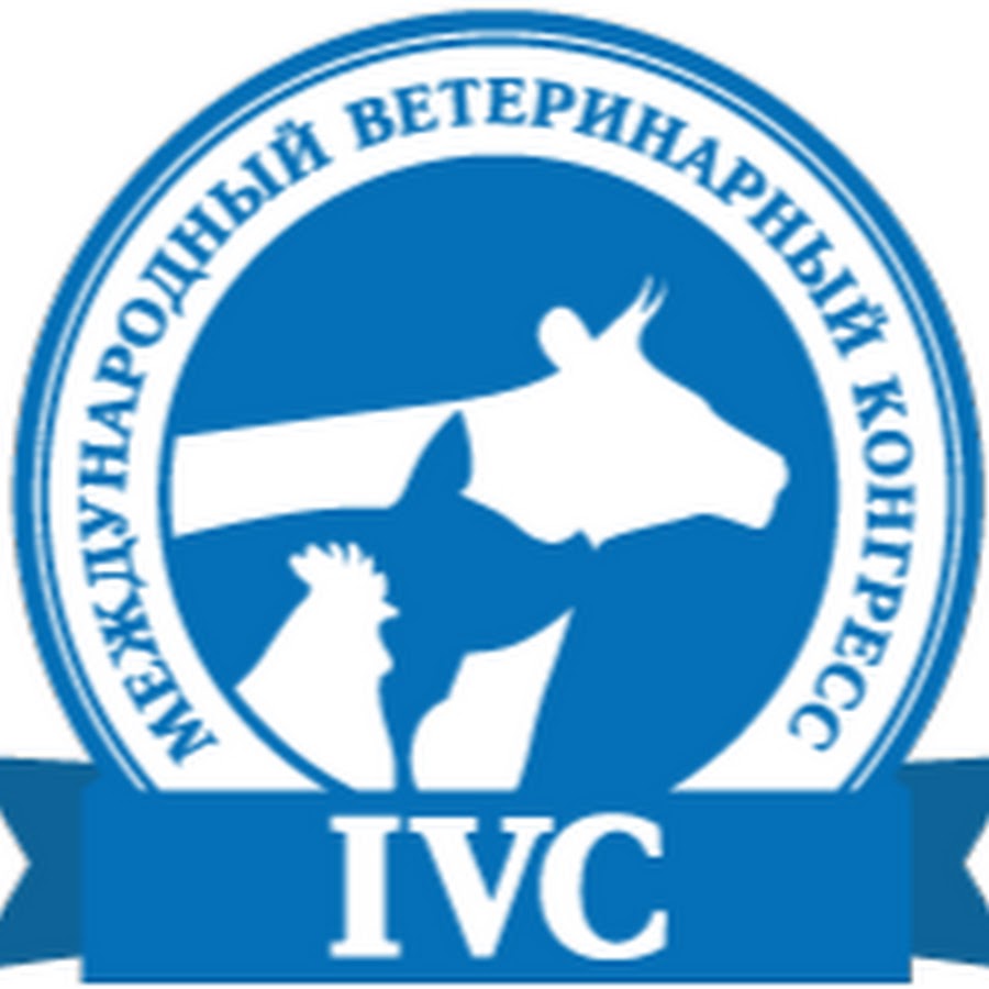 ветеринария международная. ветеринария международная. ветпаспорт международного образца для кошек. ветеринария международная. ветеринария международная.