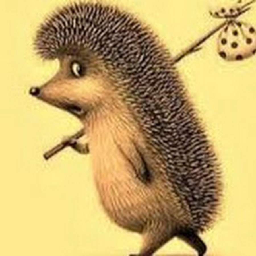 Ежик в тумане ауди