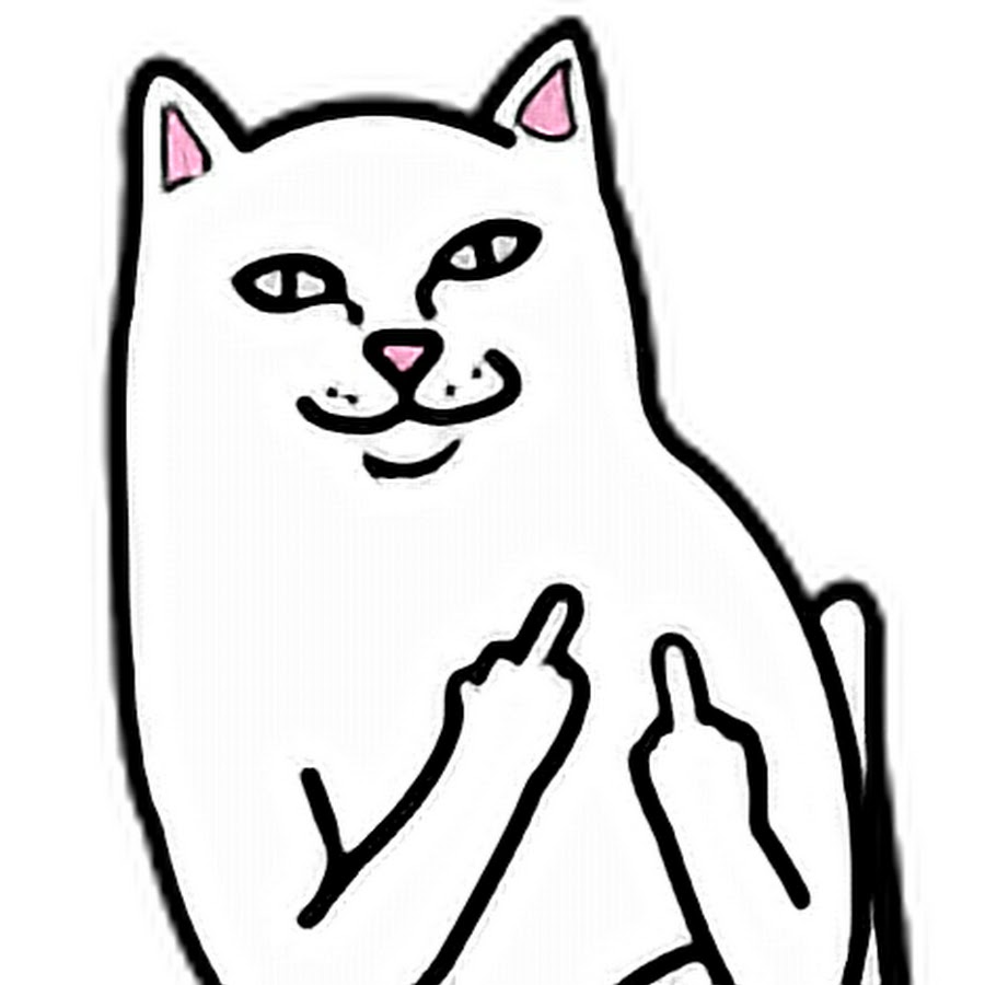 Котик с факом