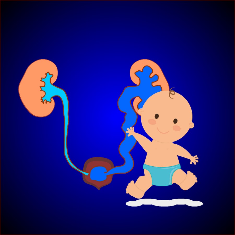 Animated Kidney Info - YouTube