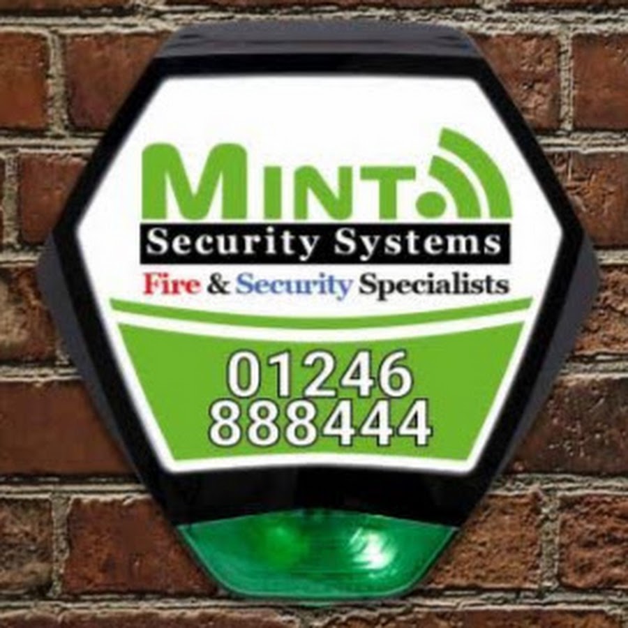 Mint Security Systems Ltd YouTube