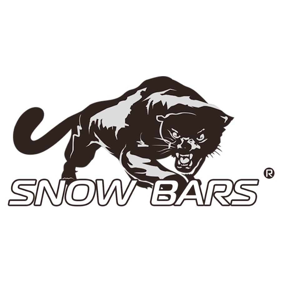 Барс котлас. Bar логотип. «Барс». Эмблема Барс. Снежный Барс логотип.