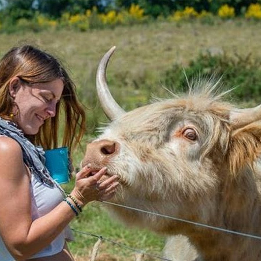 Animal Farm Rare Breeds Farm Park 