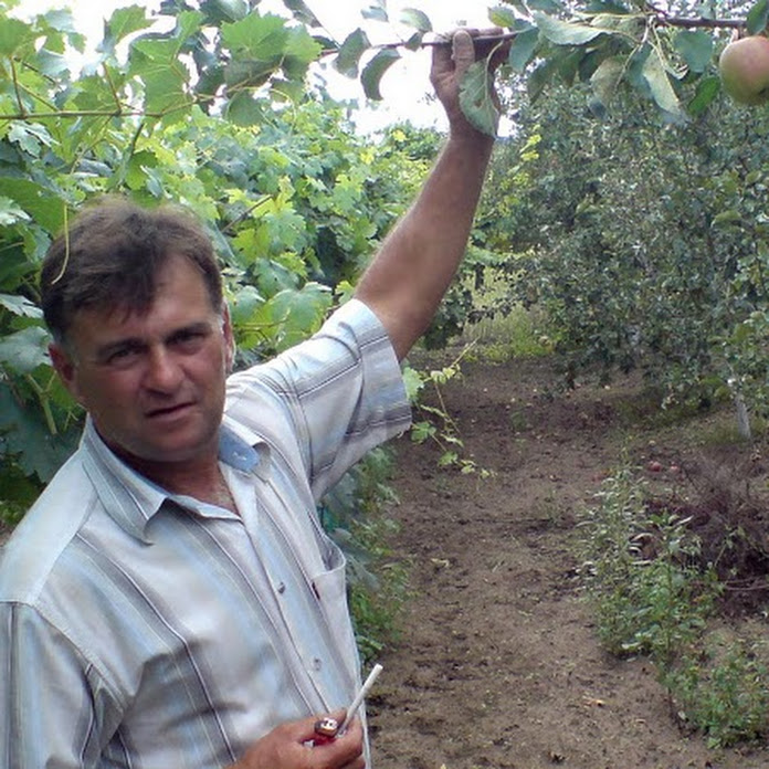 Владимир Максименко Net Worth & Earnings (2026)