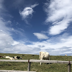 クリームあんみつ