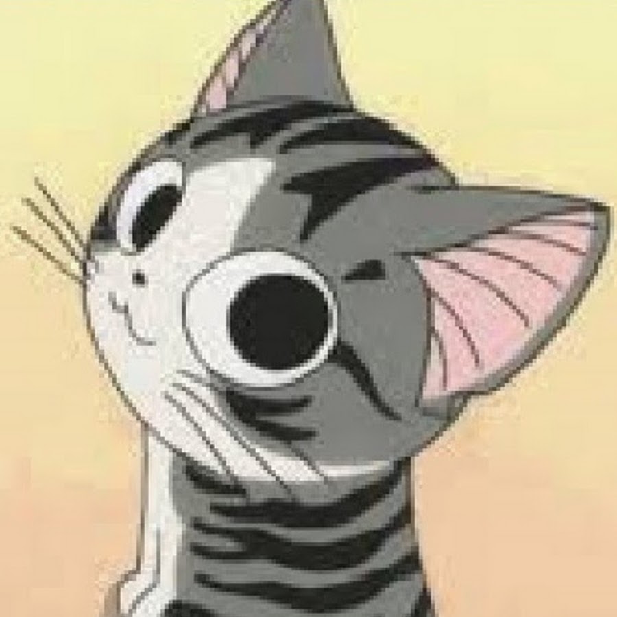 Котенок чии 3д. Милый дом чии. Котенок чии. Милый дом чии котенок. Милый дом чии.