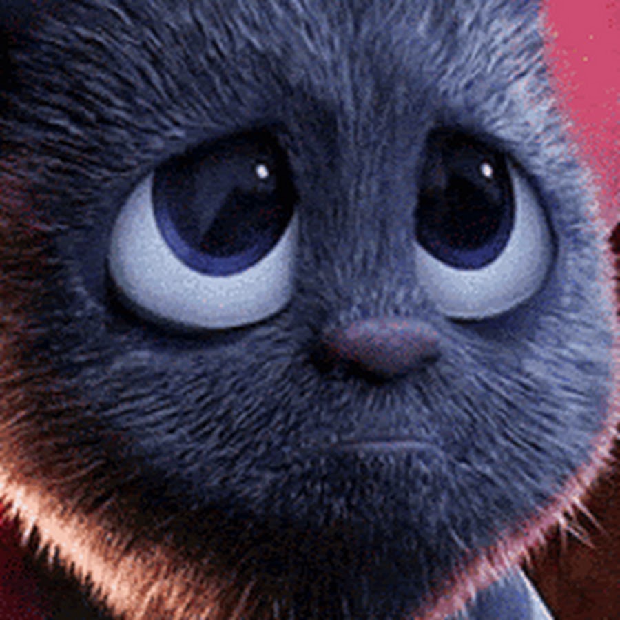 Картинка из монстры на каникулах летучая мышь