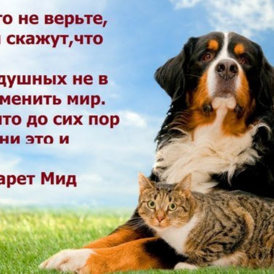 ������� ����, �������� ���� ���������� ��������� �������� ������� ���