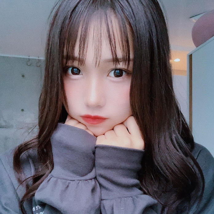 るなぴろチャンネル Net Worth & Earnings (2026)