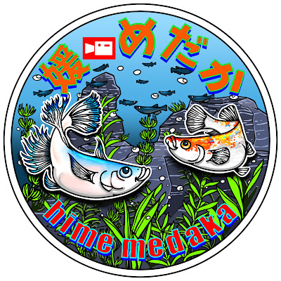 媛めだか ประเทศไทย Vlip Lv