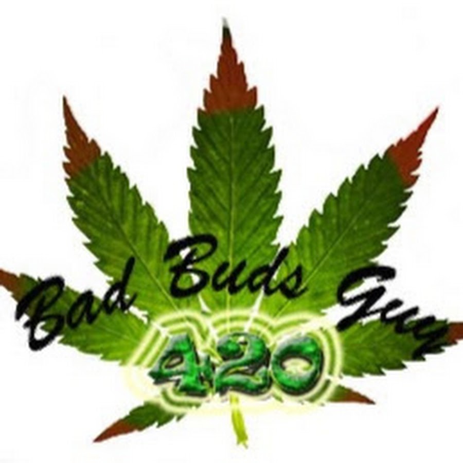 Bad Buds Guy YouTube