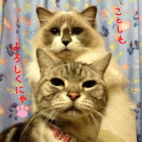 Reo Rara��s ch. YouTube