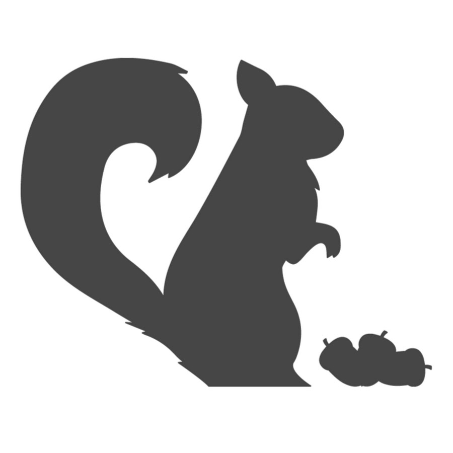 Белка векторное изображение