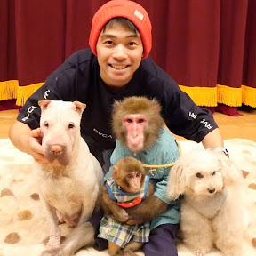 Animal Trainer(YouTuberAnimal Trainer)