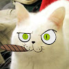 Kater