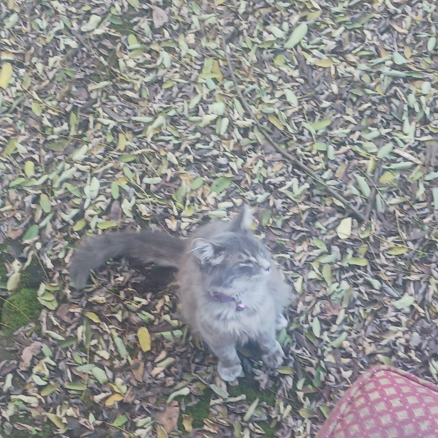 анимация открытия коробки. анимированный открыть. подарок анимация. анимированный открыть. анимированный открыть.